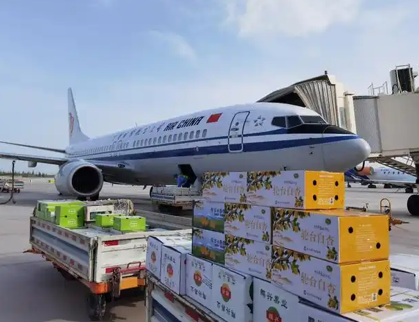 《航空物流:在挑战与机遇中翱翔的全球航空物流带动经济动脉》